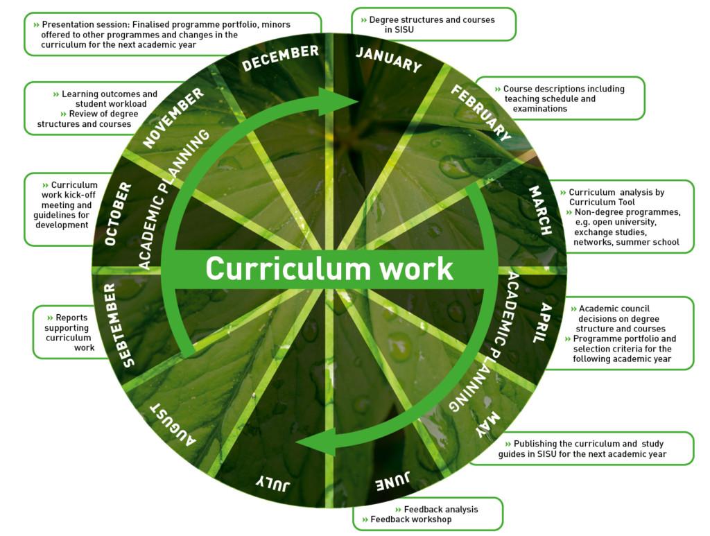 Annual plan for curriculum work