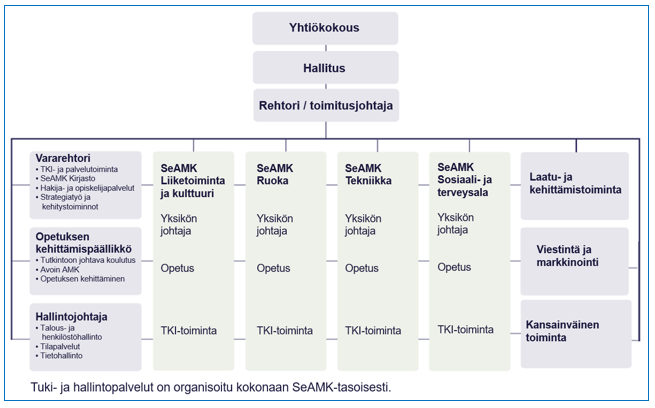 Korkeakoulun organisaatio ja strategia – Korkeakouluauditoinnit