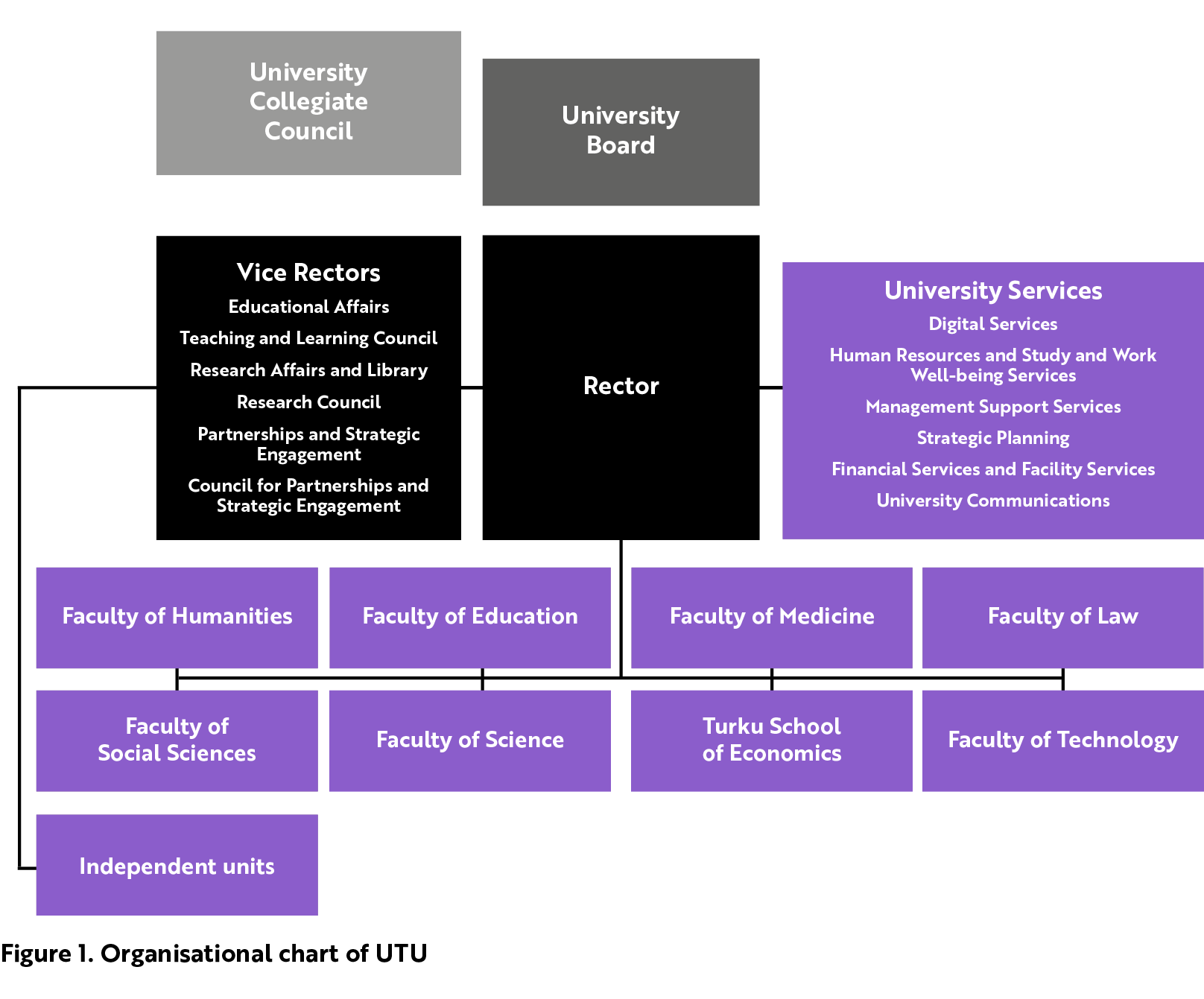 The central administration of UTU consists of the Board, the Rector and the Vice Rectors, the University Collegiate Council, services and areas of responsibility led by the Vice Rectors, and university services. The units under the lead of the vice rectors are educational affairs, research affairs and library and partnerships and strategic engagement. The chair of the teaching and learning council, research council and council for partnerships and strategic engagement is the corresponding vice rector. The university services include digital services, human resources and study and work well-being services, management support services, strategic planning, financial services and facility services, and university communications. The eight faculties of UTU are faculty of humanities, faculty of education, faculty of medicine, faculty of law, faculty of social sciences, faculty of science, Turku School of Economics and faculty of technology. UTU also has five independent units.